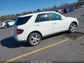 2008 Mercedes-Benz ML-Class — photo 4 of 16 | VIN 4JGBB86E38A347859