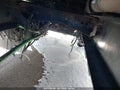 2012 Volvo VN — photo 11 of 16 | VIN 4V4NC9EJOCN551219