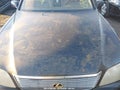 2000 Lexus LS 400 — photo 10 of 11 | VIN JT8BH28F9Y0168932