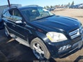 2010 Mercedes-Benz GL-Class — photo 1 of 16 | VIN 4JGBF7BE9AA566609