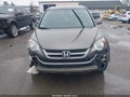 2010 Honda CR-V — photo 6 of 16 | VIN 5J6RE4H79AL041514