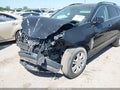 Photo 13 of 13 — 2011 Cadillac SRX