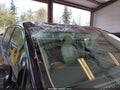 Photo 6 of 16 — 2015 Kia Sedona