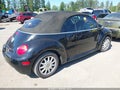 Photo 4 of 13 — 2004 Volkswagen Beetle