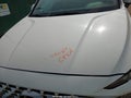 Photo 10 of 18 — 2023 Hyundai Santa Fe