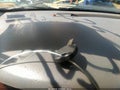 2005 Lexus ES 330 — photo 11 of 16 | VIN JTHBA30G555096818
