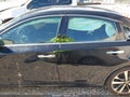 Photo 14 of 16 — 2016 Nissan Altima