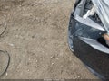2022 Toyota Corolla — photo 18 of 19 | VIN JTDEPMAE2NJ214704