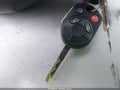 Photo 11 of 11 — 2013 Ford Focus