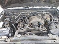 2003 Nissan Xterra — photo 10 of 10 | VIN 5N1ED28T83C655851