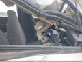 2003 Chevrolet Silverado 1500 — photo 5 of 17 | VIN 2GCEK19TX31123395