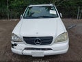 Photo 12 of 16 — 2001 Mercedes-Benz ML-Class