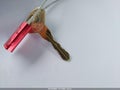 1984 Volkswagen Rabbit — photo 11 of 16 | VIN WVWCA015XEK020403