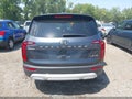 2020 Kia Telluride — photo 16 of 16 | VIN 5XYP24HC2LG016035