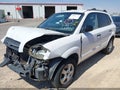 2007 Hyundai Tucson — photo 2 of 18 | VIN KM8JM12B97U502940