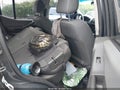 Photo 8 of 11 — 2009 Nissan Xterra