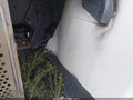 Photo 17 of 19 — 2013 Hino 258/268