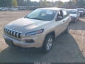 2014 Jeep Cherokee — photo 2 of 11 | VIN 1C4PJMAB8EW318438