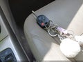 Photo 11 of 20 — 2013 Ford Escape