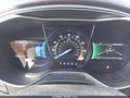 2014 Ford Fusion — photo 7 of 11 | VIN 3FA6P0D94ER108505