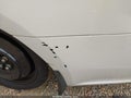 Photo 17 of 17 — 2016 Toyota Avalon