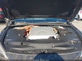 Photo 10 of 22 — 2022 Toyota Mirai