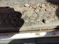 2006 Ford F-450 — photo 14 of 16 | VIN 1FDXF46Y76ED71570