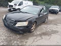 2009 Hyundai Sonata — photo 2 of 14 | VIN 5NPEU46F39H529584