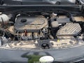 Photo 10 of 11 — 2017 Kia Sportage