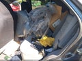 Photo 8 of 10 — 2007 Kia Sorento