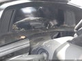 2025 Chevrolet Corvette Stingray — photo 7 of 13 | VIN 1G1YB2D40S5101270