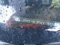 Photo 16 of 16 — 2015 Lexus GS 350