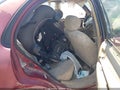 Photo 8 of 11 — 1999 Toyota Corolla