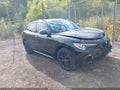 2021 Alfa Romeo Stelvio — photo 1 of 16 | VIN ZASPAKBN0M7D09486