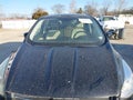 Photo 12 of 13 — 2013 Ford Escape