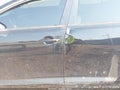 Photo 12 of 13 — 2011 Kia Optima