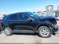 Photo 13 of 16 — 2024 Ford Escape