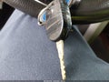 2012 Ford F-150 — photo 11 of 16 | VIN 1FTFW1ET6CFB37446