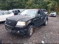 2006 Ford F-150 — photo 2 of 11 | VIN 1FTRF022X6KC47060