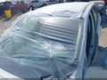 2019 Ford Escape — photo 6 of 16 | VIN 1FMCU0F77KUB32217