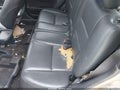 Photo 14 of 16 — 2000 Honda CR-V