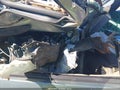 2004 Ford Focus — photo 5 of 16 | VIN 1FAFP36304W158209