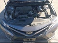 2019 Toyota Camry — photo 10 of 16 | VIN 4T1B11HK3KU253015