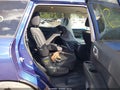 Photo 8 of 17 — 2018 Nissan Pathfinder