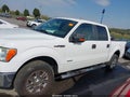 Photo 15 of 18 — 2011 Ford F-150