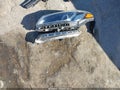 2015 Hyundai Sonata — photo 12 of 17 | VIN 5NPE24AF4FH123046