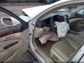 Photo 17 of 21 — 2010 Lexus LS 460