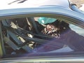 Photo 5 of 14 — 2001 Toyota Camry