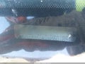 Photo 12 of 12 — 1992 Mercury Cougar