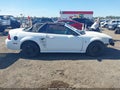 2000 Ford Mustang — photo 14 of 18 | VIN 1FAFP4441YF170635